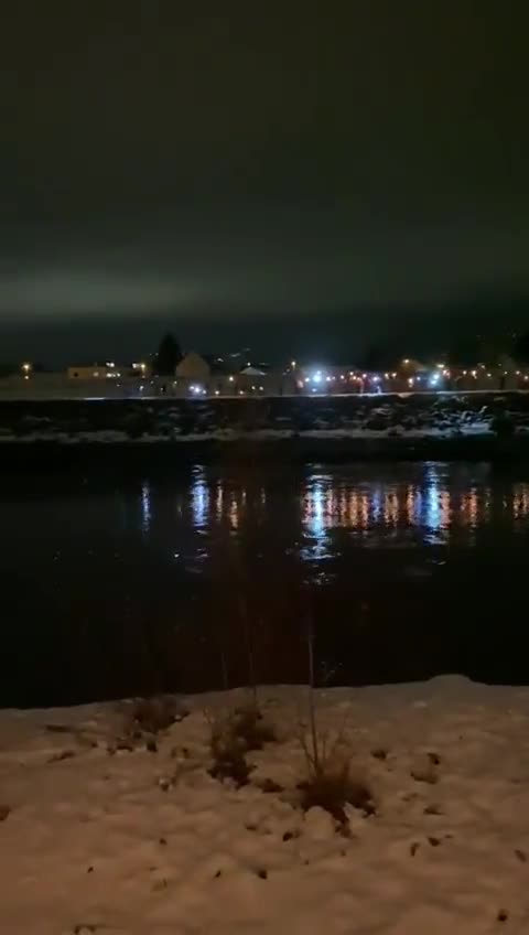 Swiss & Austrian's protest at the boarder tonight together for Freedom