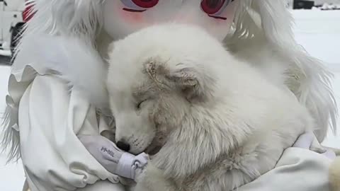 Furry Douyin #36