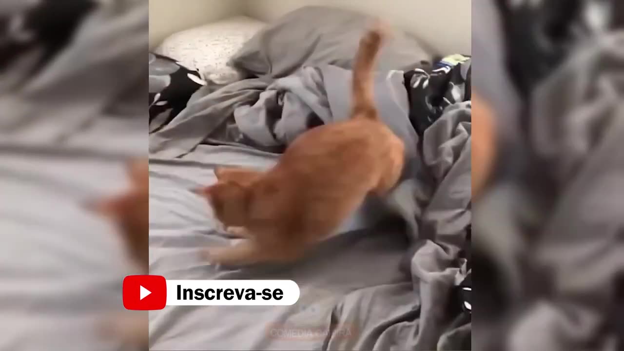Funniest Animals 😁 new funny comedy