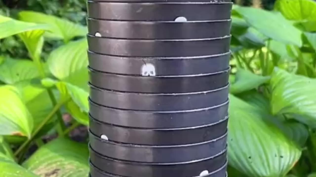 Wow! Satisfying