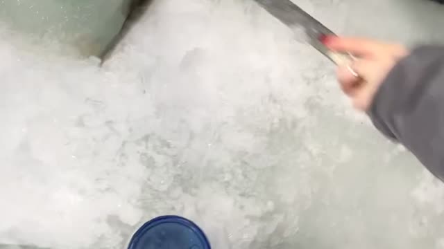 Struggling With an Ice Fishing Catch