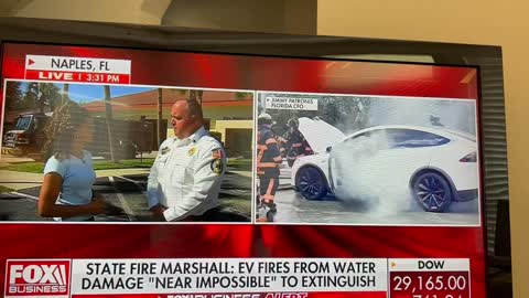 Hurricane Ian and electric vehicles