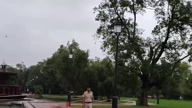 #shorts #best moments #Lovely #Scenery #like #share #subscribe