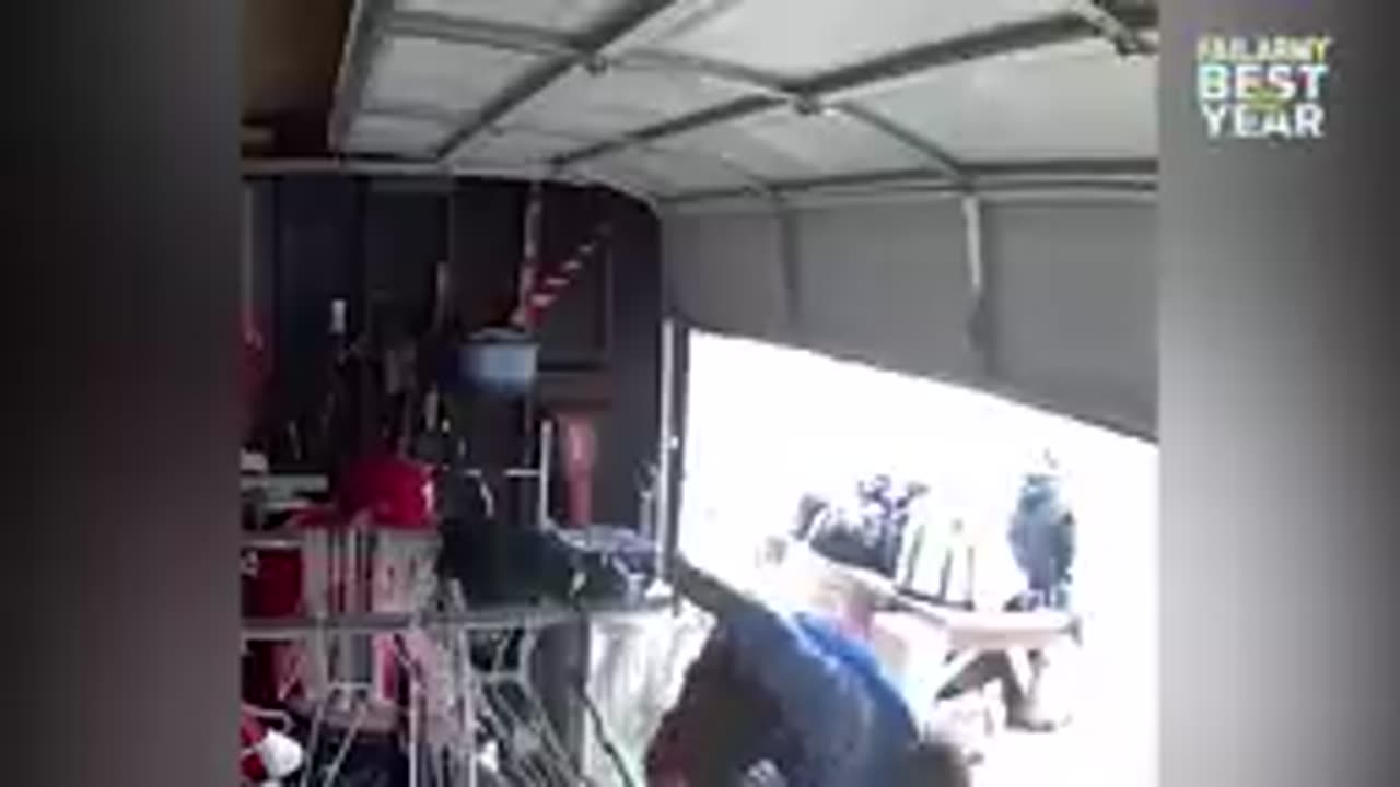 Funny videos