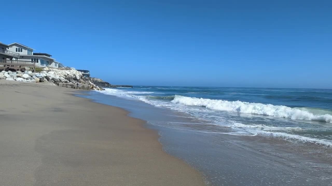 Fun Family Beach Day