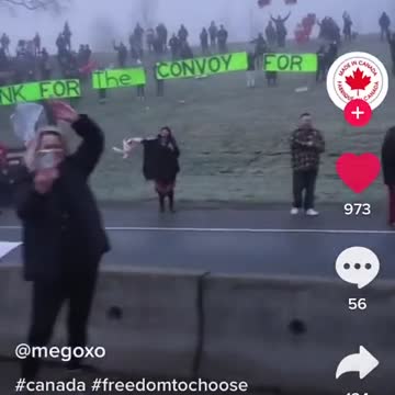 Don't give up the fight