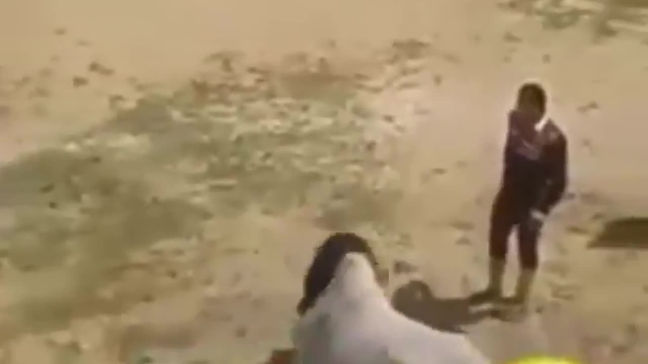 man vs caw amazing funny video