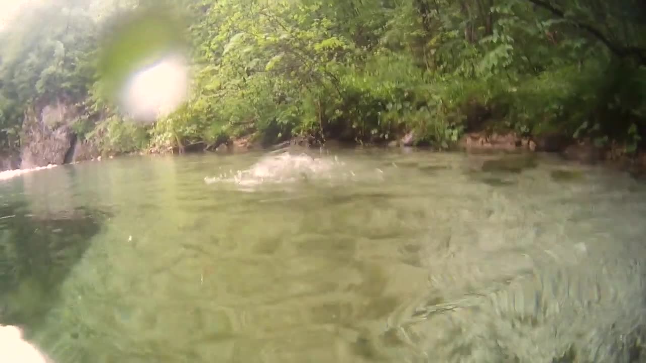 Bowsi on dry fly Slovenia 2014