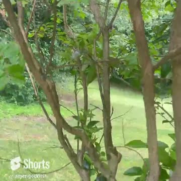 Showing mother nature some love today ❤️ #shorts