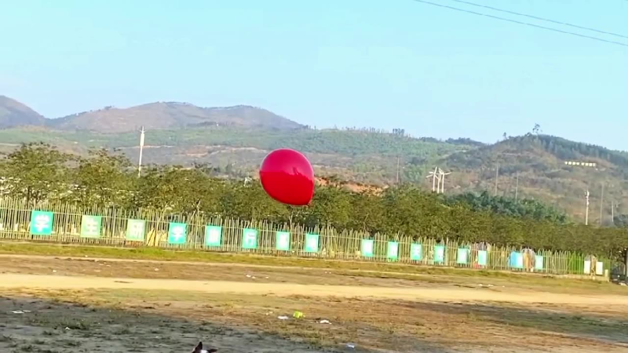 Dogs playing with baloon