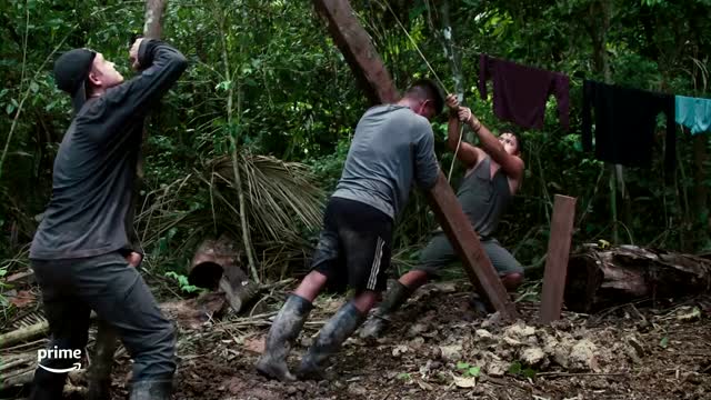In 'Wildcat', ocelot kittens help a soldier heal