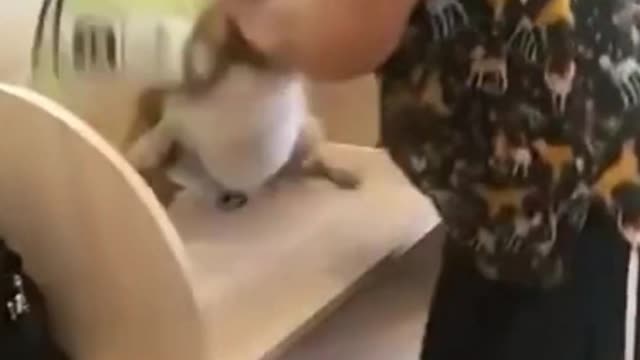 Dog reaction with injection # funny dogs#dog love