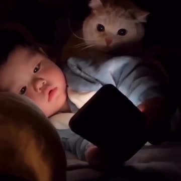 Who is more cute 🐈/👶? 🤩 Joy Funny Factory