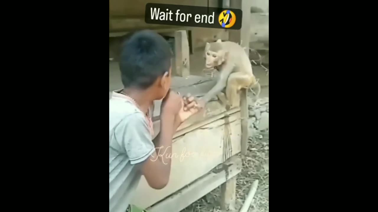 Funny video 😂😂