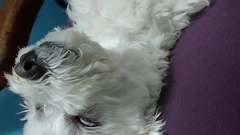 我在睡覺