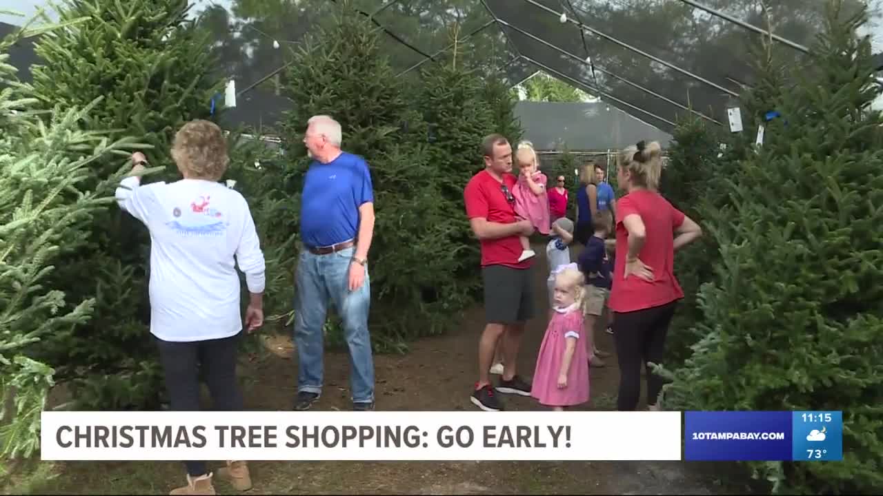 Buying a Christmas tree? Here's what you can expect