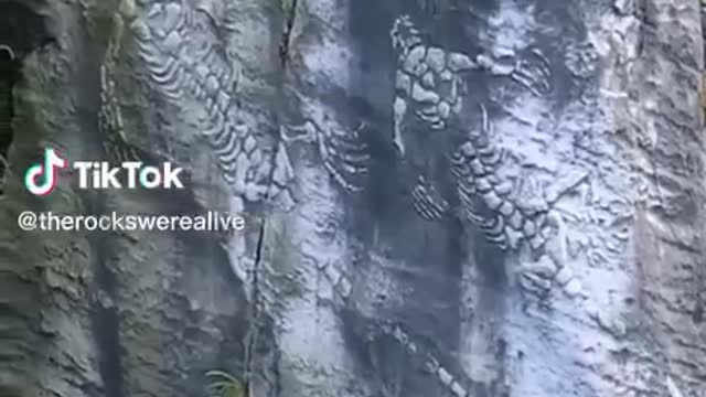 Amazing drone footage.