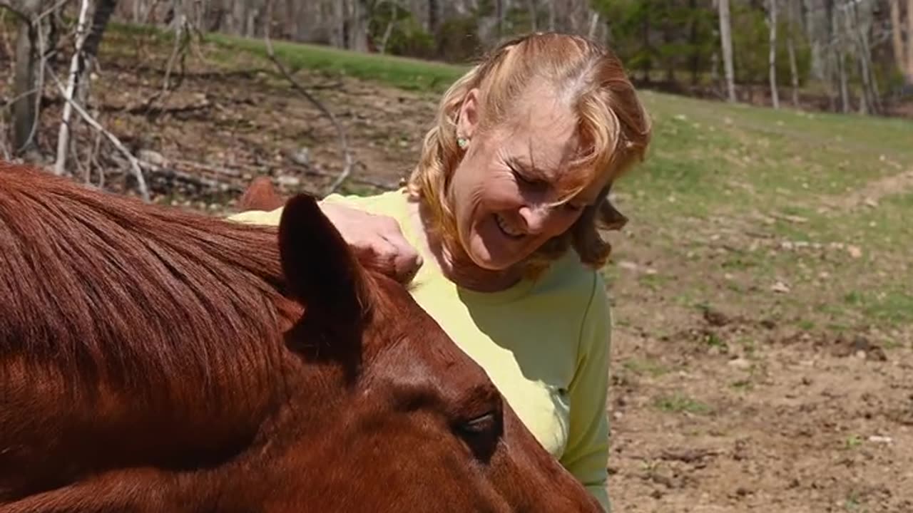 Grand mother eats to horse 🐎 food