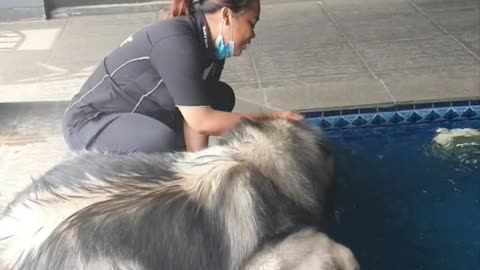 Learn to swim