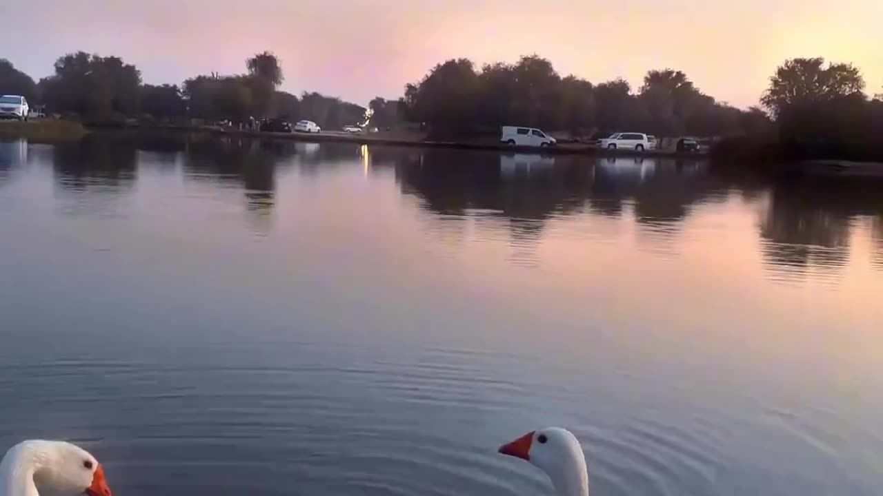 Can you think of a better place to wake up Al Qudra Lake #VisitDubai