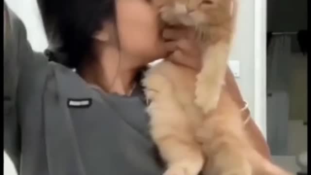 This is how the cat starts running. It's so fast