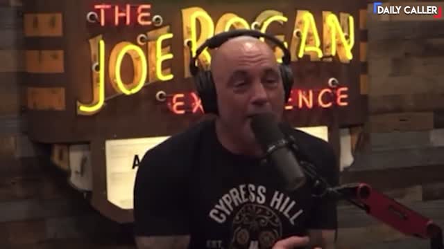 Joe Rogan Corners CNN Doctor Over Ivermectin Claims On The Network