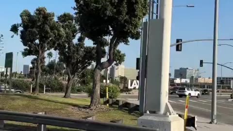 EPIC VIDEO OF TRUMP FORCE ONE LANDING IN LA 🔥✈️🎥