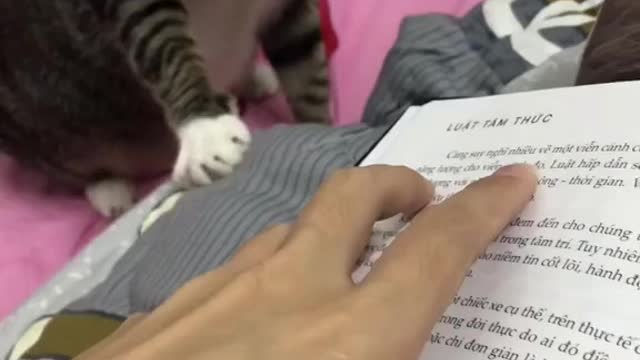 Woman tries to read book, kitty thinks it's play time