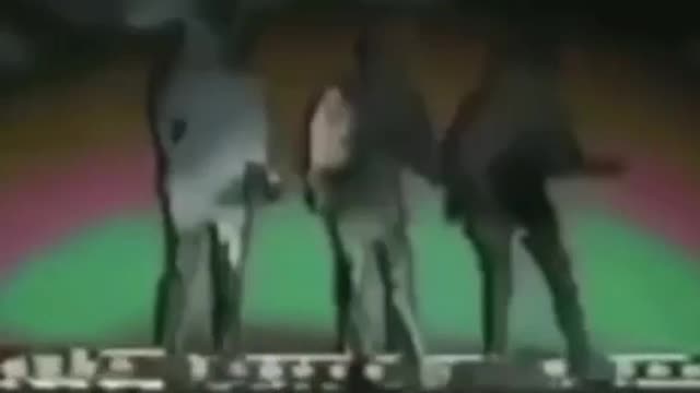 666