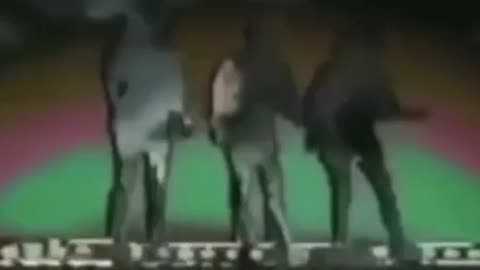 666
