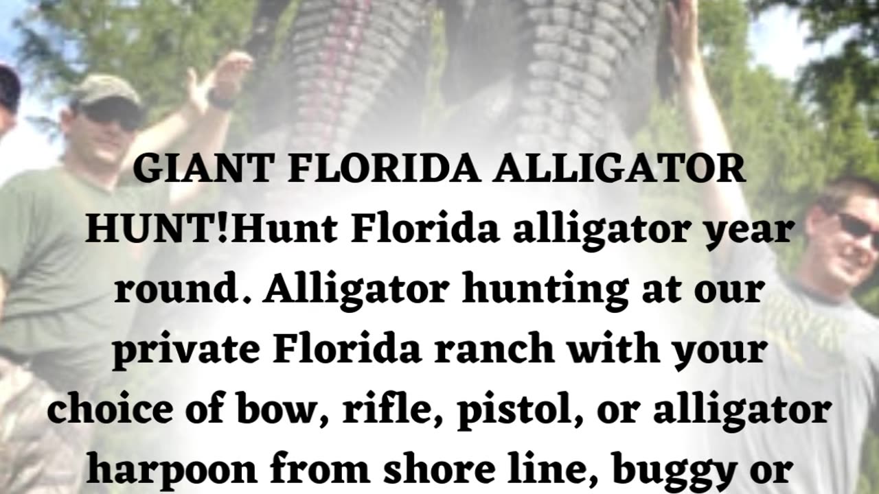 Florida gator hunting: Experience the Thrill of Adventures