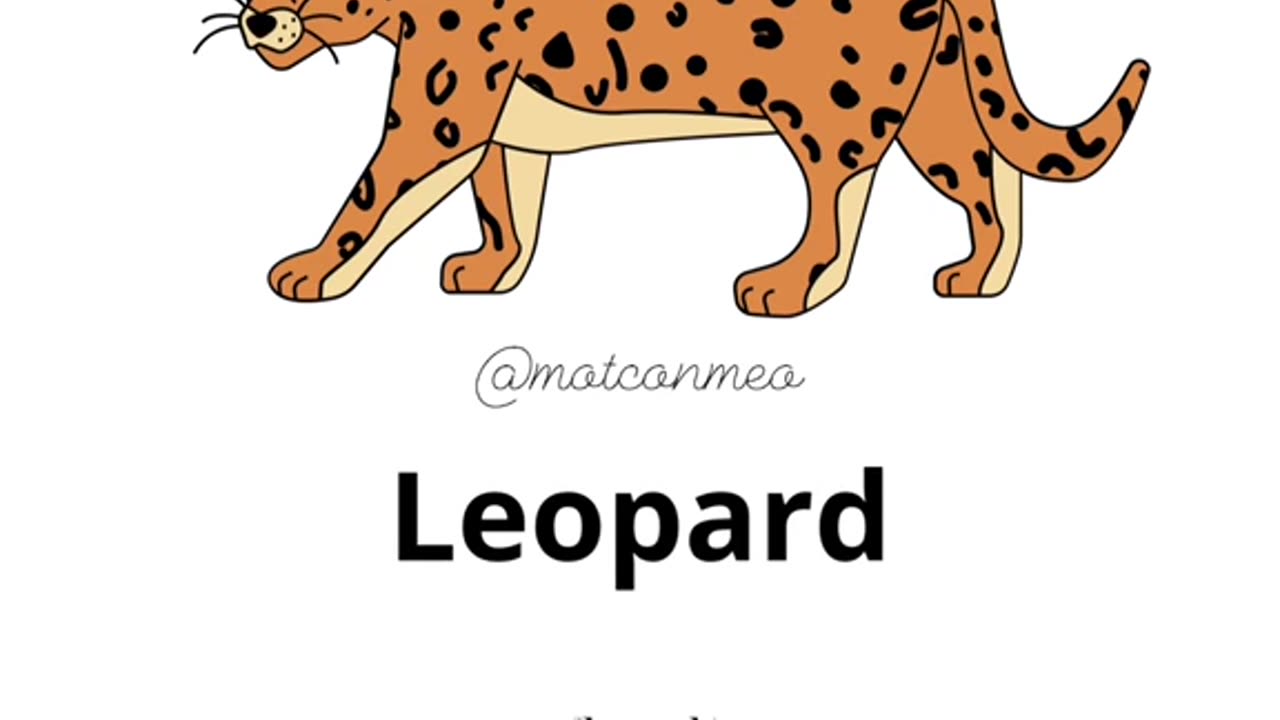 Learn animals names for kids
