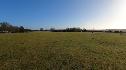 NEW FOREST 25th Feb 2022
