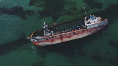 15 MOST DANGEROUS Ocean Creatures In The World-1