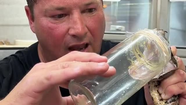 i wouldnt even be able to keep holding that jar.mp4