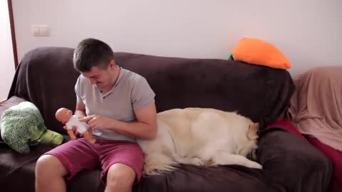 Funny Dog Reacts to a Fake Baby