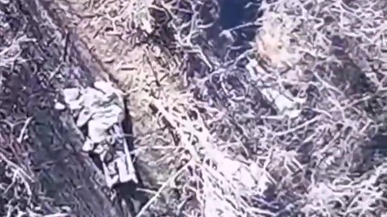 Brutal war in Ukraine: Working on enemy positions with drones