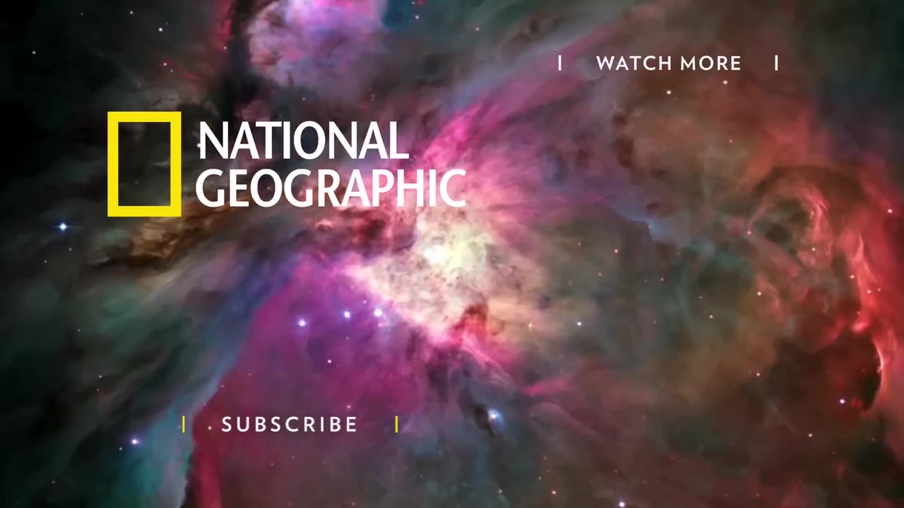 Scouting for Wildlife in Big Bend National Park | National Geographic