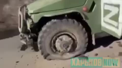 Ukraine #14