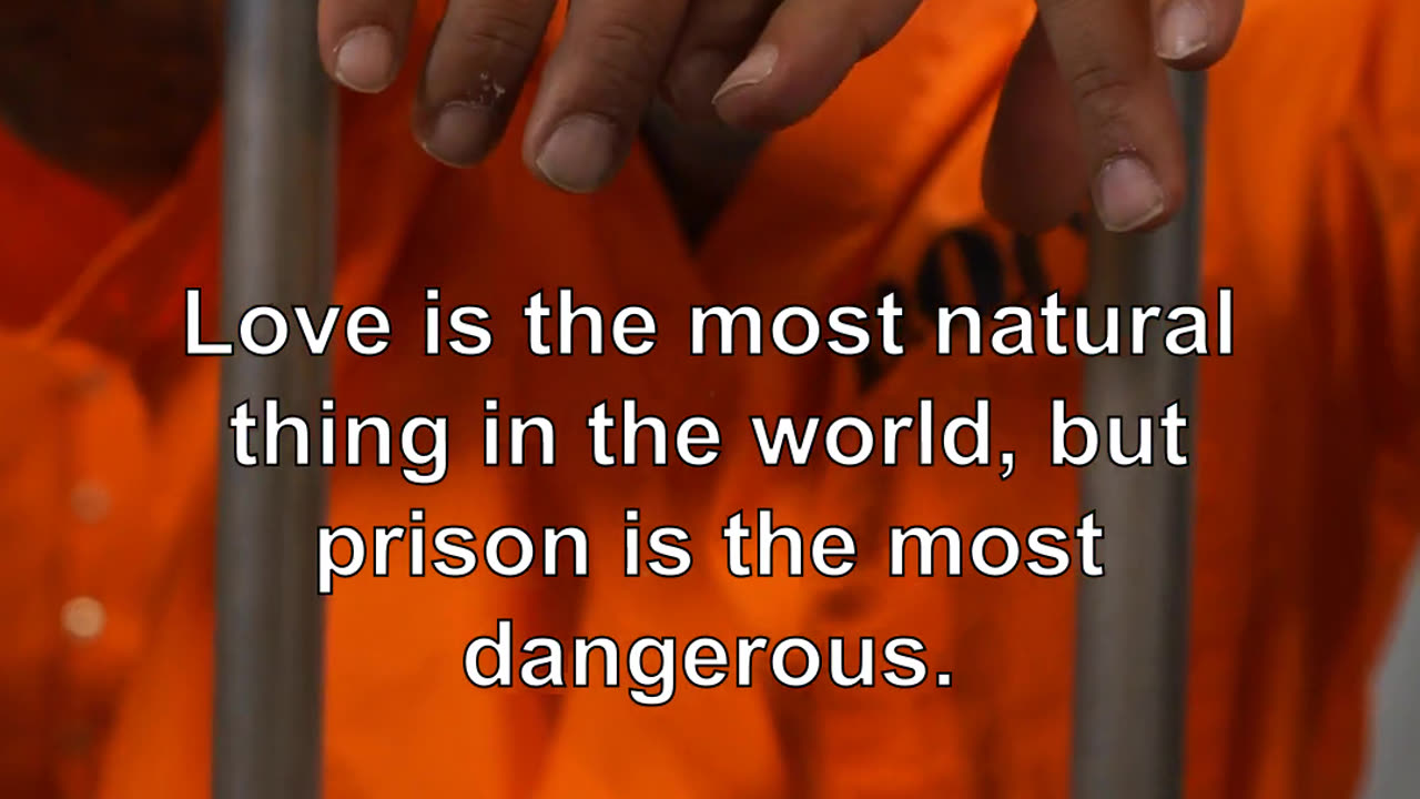 There is a difference between being in love and being in prison. Love is the most natural thing...