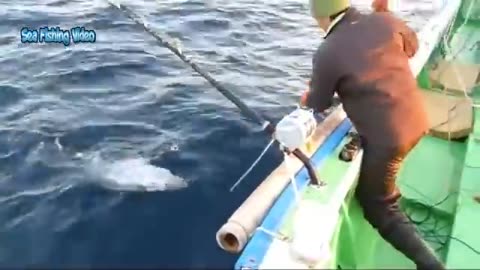 Fishing at sea catching Big Fish