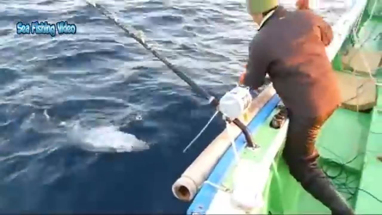 Fishing at sea catching Big Fish