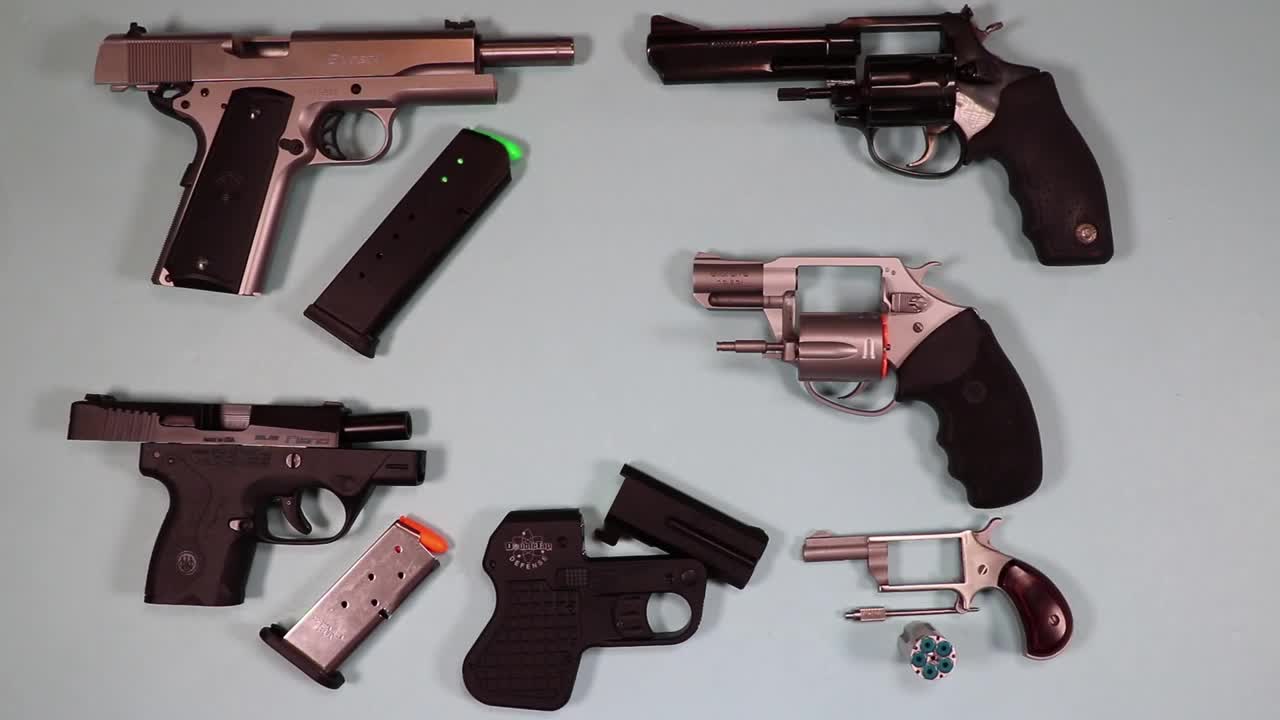 SAFER Basic Handgun Safety_ Lesson 4, Handgun Types & Parts