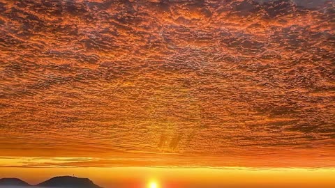 I dare say. You haven't seen such a beautiful sunset before
