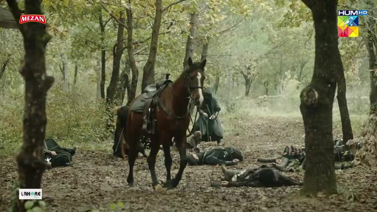 Sultan Salahuddin Ayyubi Episode 11