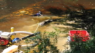 VA Gold On the Creek Bearfoot Gold May 2008 2