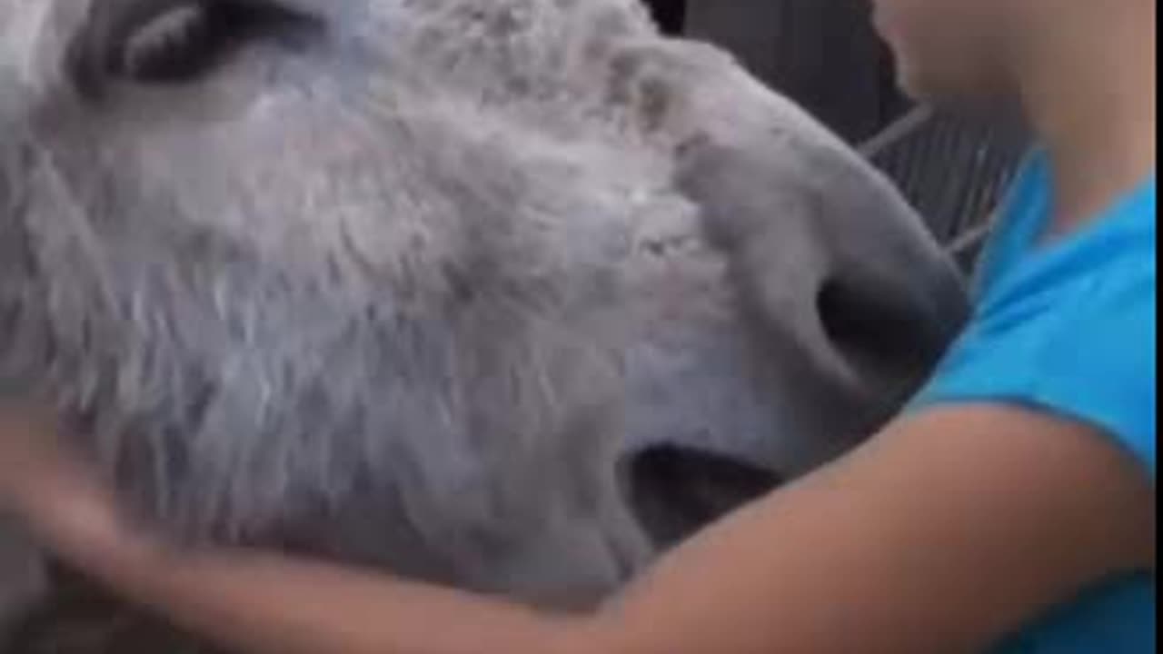 Something good for a change.