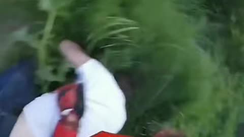 First Person Street Fight