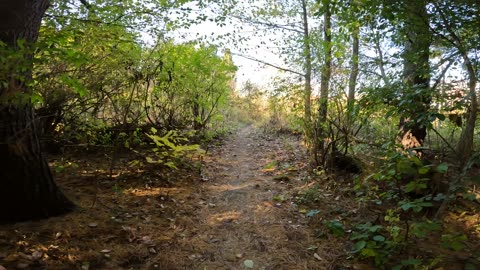 🦌 Welcome To Shirley's Bay Trail 🍂 Fall Edition In Ottawa 🍎Healthy Talk Part 4 🫎