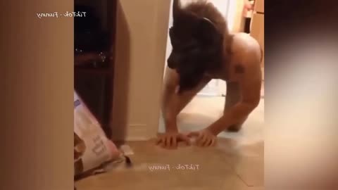 EXTREMELY DIFFICULT Try Not To Laugh Funny Cats and Dogs Videos Funniest Animal Videos 2023